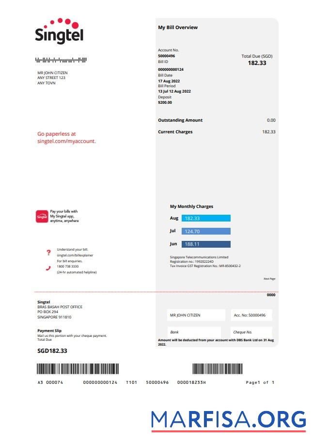 Blank USA Singtel utility bill template in Word and PDF format